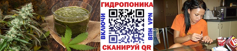 Купить  Горно-Алтайск  Печенье с ТГК конопля 