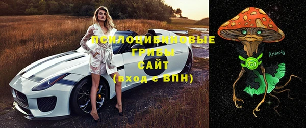 не бодяженный Дмитриев