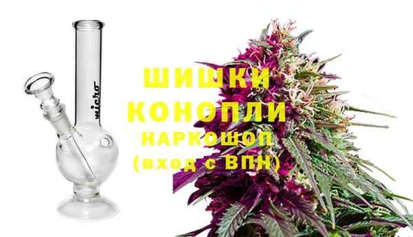 не бодяженный Дмитриев