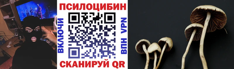 Псилоцибиновые грибы MAGIC MUSHROOMS  Купить  Горно-Алтайск 