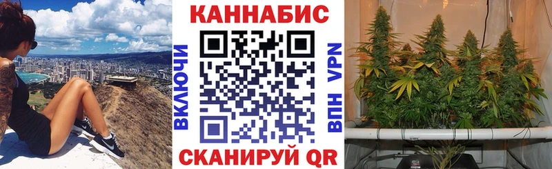 Бошки марихуана VHQ  Купить  Горно-Алтайск 